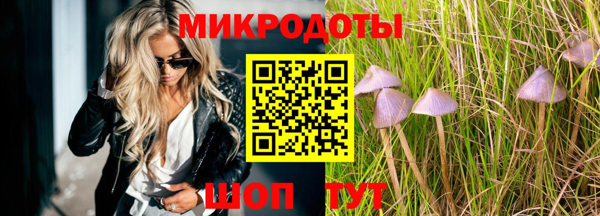 Сердобск  Галлюциногенные грибы Cubensis  Вход с VPN 
