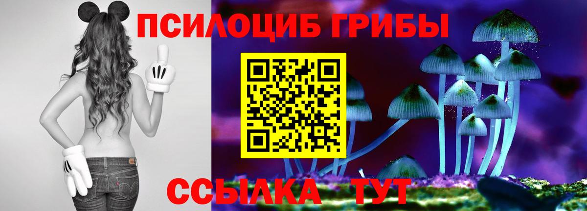 Псилоцибиновые грибы ЛСД Сердобск